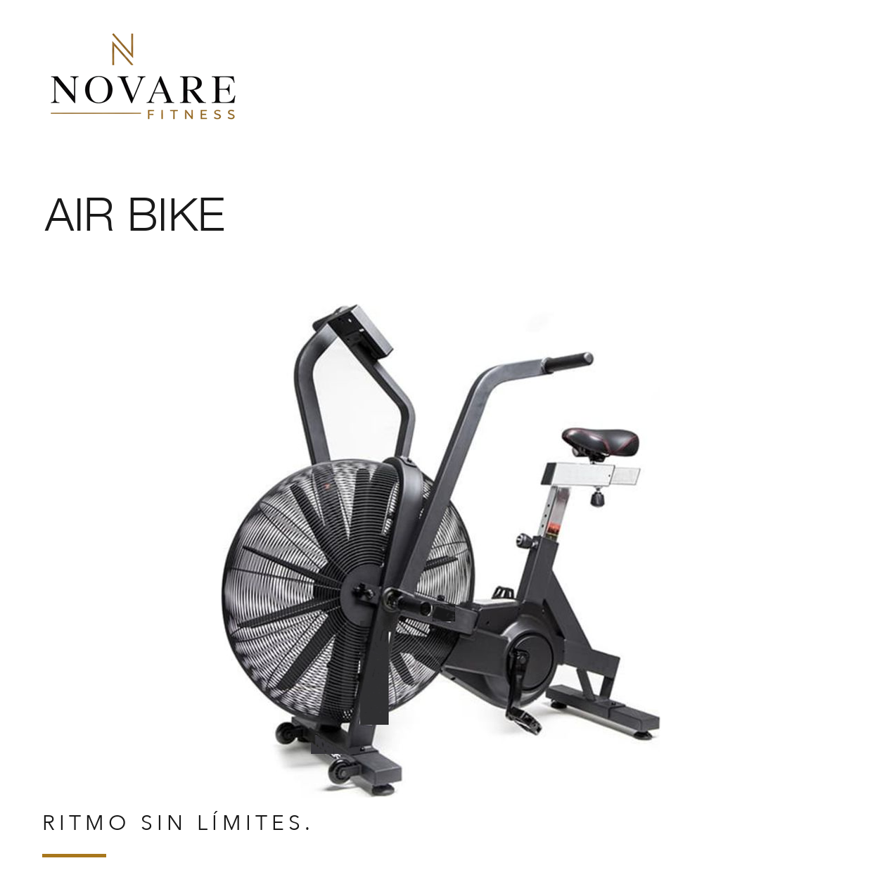 Comercial Air Bike Big Bear — FH4313X1