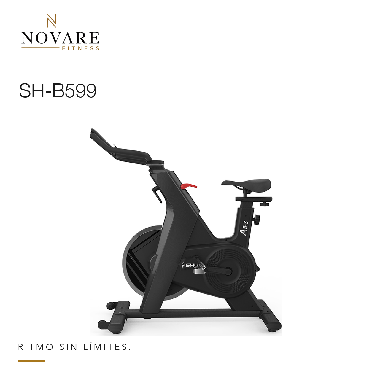 Bicicleta de spinning - Shua — SH-B599